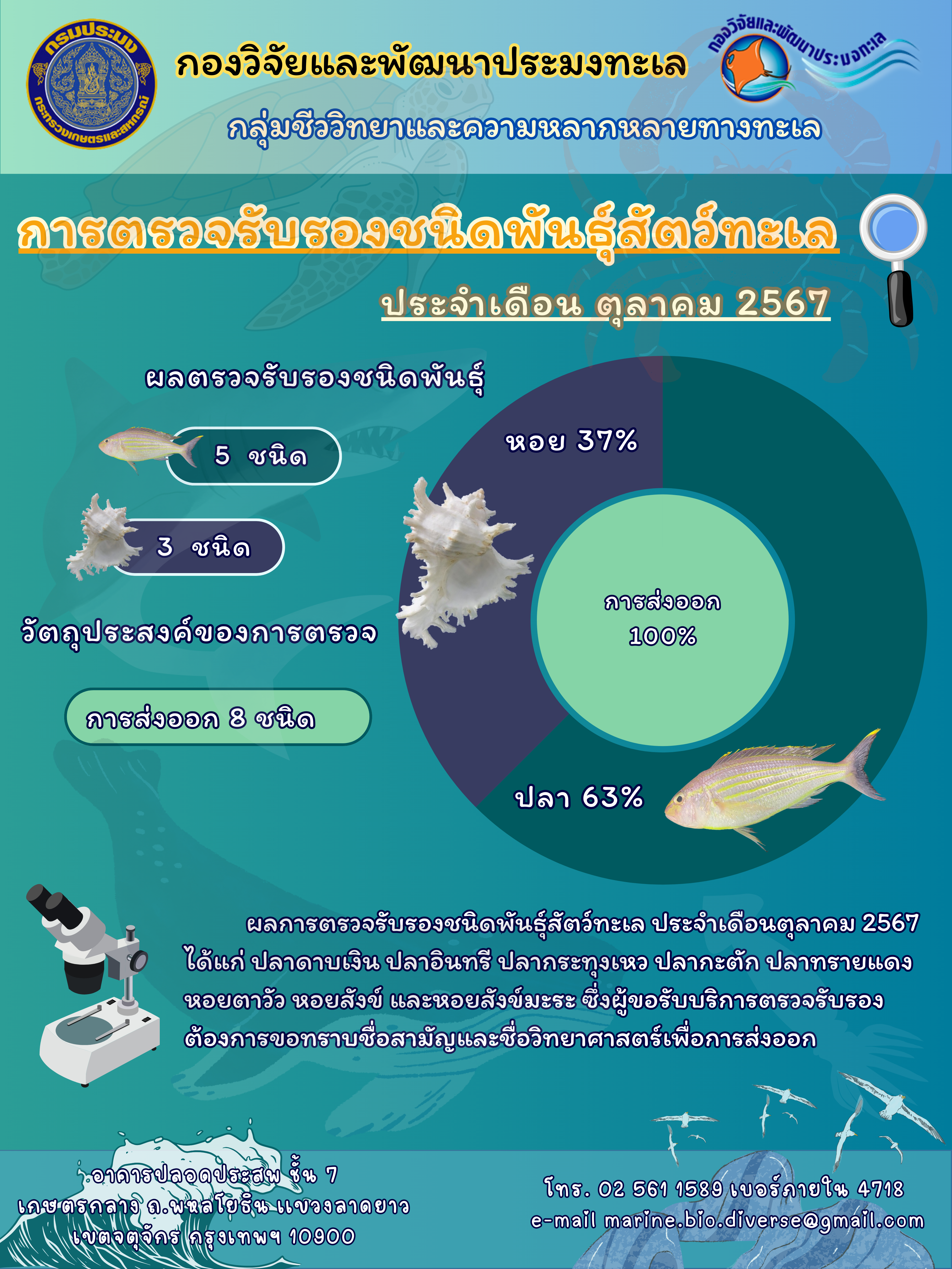 ฐานข้อมูลตรวจรับรองชนิดพันธุ์สัตว์ทะเลปี 2567 เดือนตุลาคม