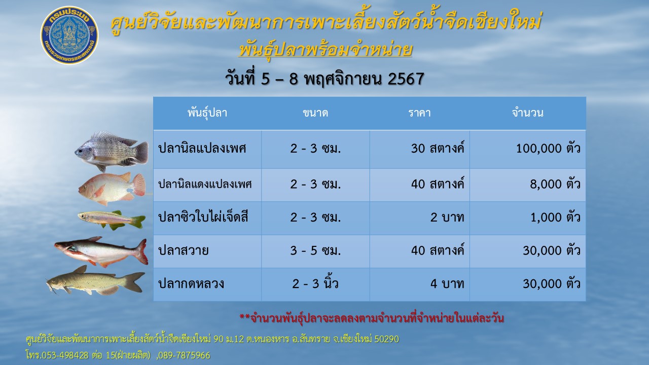 พันธุ์ปลาพร้อมจำหน่าย วันที่ 5-8 พฤศจิกายน 2567