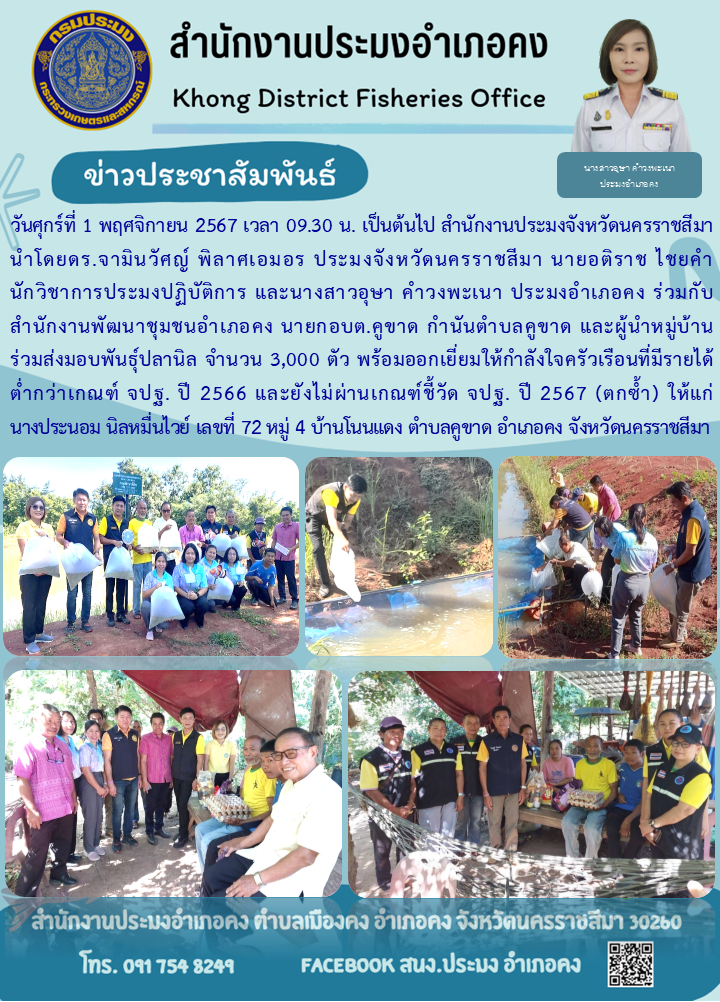 วันที่ 1 พฤศจิกายน 2567 ประมงจังหวัดนครราชสีมา พร้อมด้วยประมงอำเภอคง ร่วมกับสำนักงานพัฒนาชุมชนอำเภอคง นายกอบต.คูขาด กำนันตำบลคูขาด และผู้นำหมู่บ้าน ร่วมส่งมอบพันธุ์ปลานิล ครัวเรือนที่มีรายได้ต่ำกว่าเกณฑ์ จปฐ. ปี 2566 และยังไม่ผ่านเกณฑ์ชี้วัด จปฐ. ปี 2567 (ตกซ้ำ) บ้านโนนแดง ตำบลคูขาด อำเภอคง..คลิก