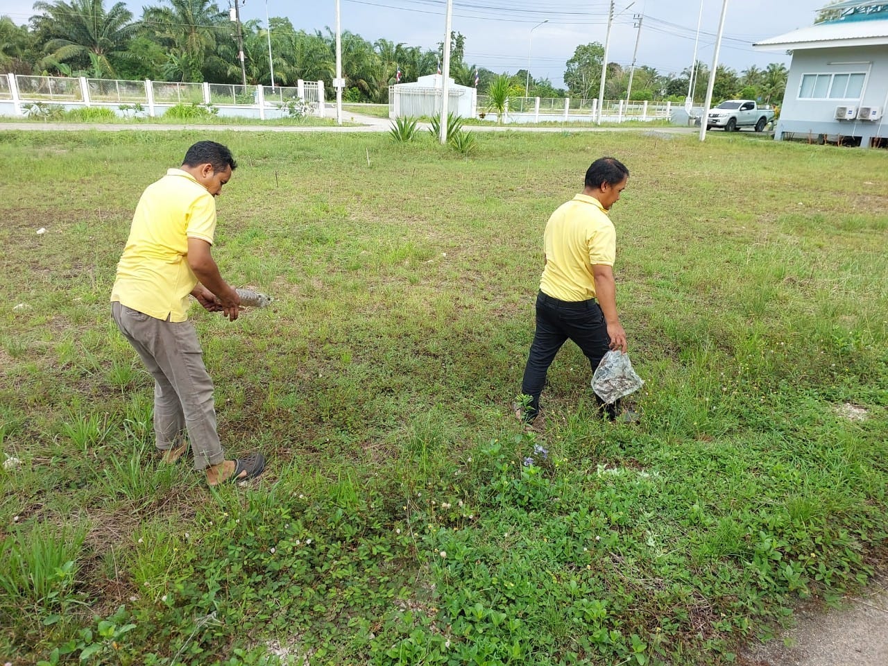 วันจันทร์ ที่ 4 พฤศจิกายน 2567 : เจ้าหน้าที่ศูนย์บริหารจัดการด่านตรวจประมงเขต9 (สตูล) ดำเนินกิจกรรมจิตอาสาบำเพ็ญสาธารณประโยชน์และบำเพ็ญสาธารณกุศล เนื่องในวันนวมินทรมหาราช 13 ตุลาคม 2567และวันปิยมหาราช 23 ตุลาคม 2567