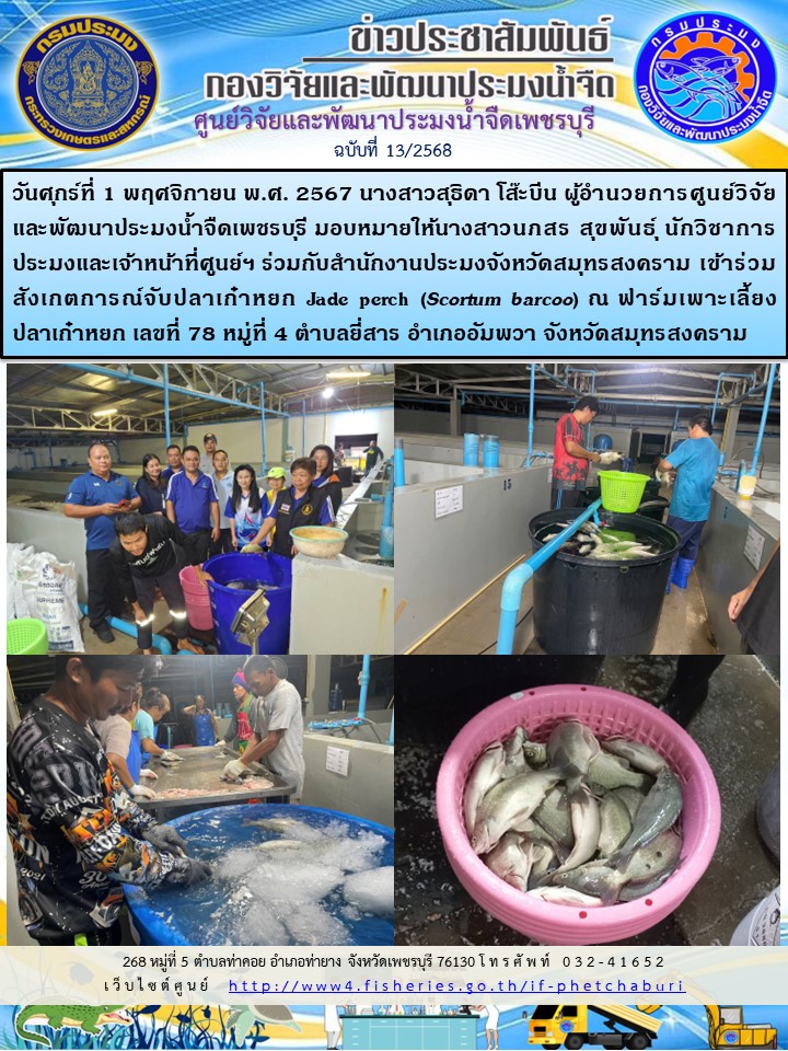 ข่าวประชาสัมพันธ์ครั้งที่ 13/2568