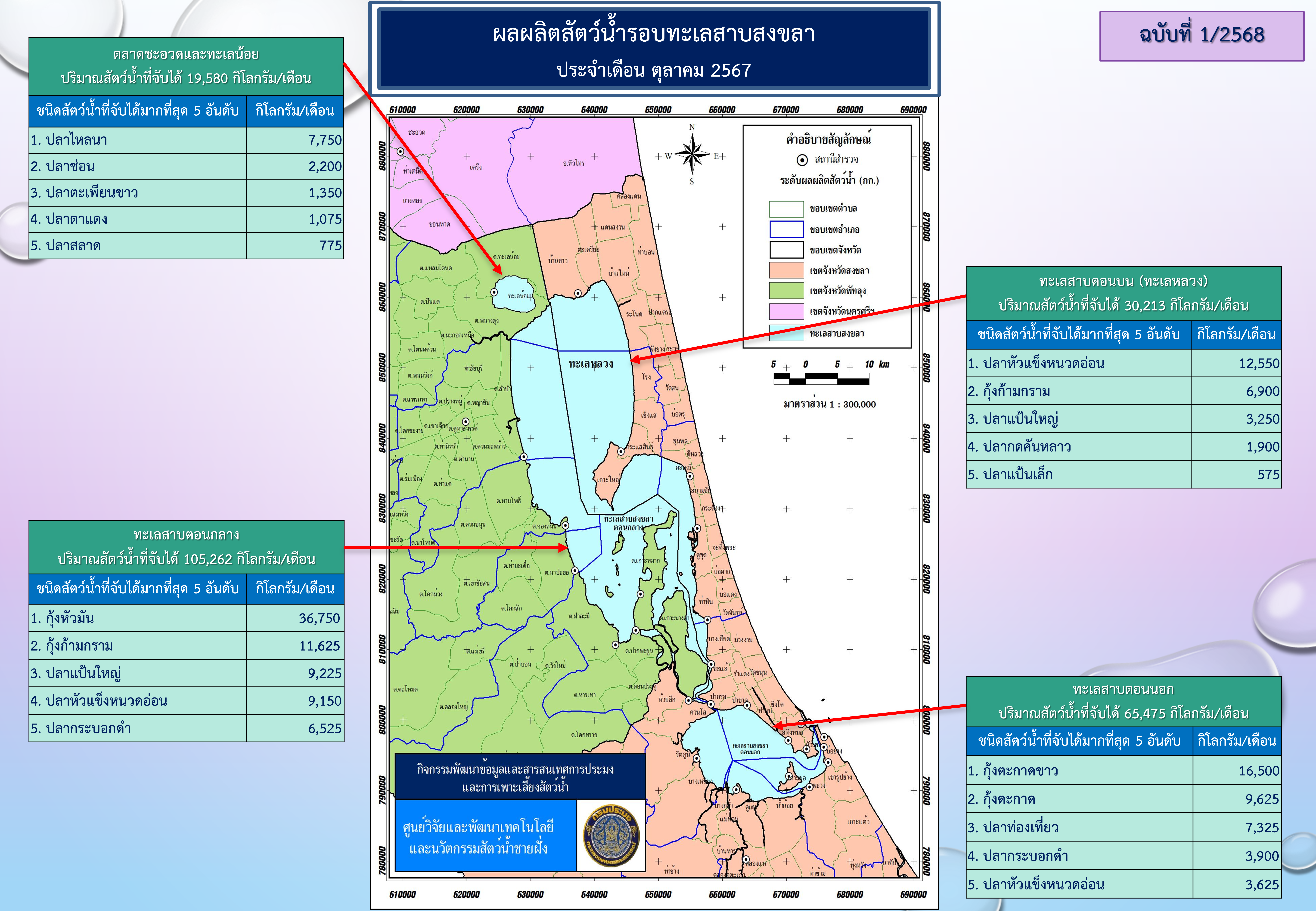 สภาวะสัตว์น้ำรอบทะเลสาบสงขลา เดือนตุลาคม 2567..คลิก