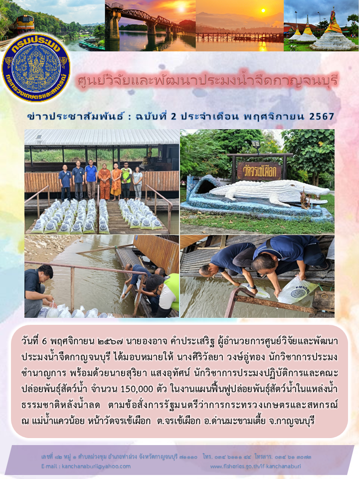 ปล่อยพันธุ์สัตว์น้ำ จำนวน 150,000 ตัว ในงานแผนฟื้นฟูปล่อยพันธุ์สัตว์น้ำในแหล่งน้ำธรรมชาติหลังน้ำลด ณ แม่น้ำแควน้อย วัดจรเข้เผือก