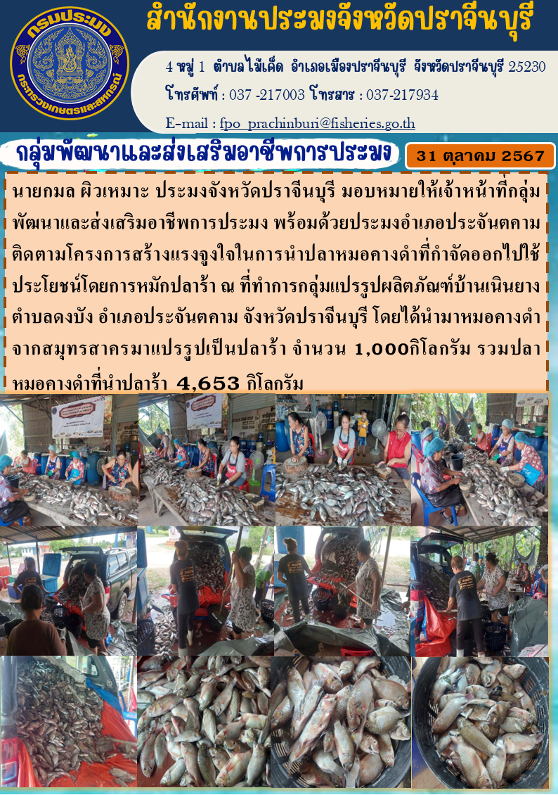 ข่าวประชาสัมพันธ์ กลุ่มพัฒนาและส่งเสริมอาชีพการประมง ติดตามโครงการสร้างแรงจูงใจในการนำปลาหมอคางดำที่กำจัดออกไปใช้ ประโยชน์โดยการหมักปลาร้า ณ ที่ทำการกลุ่มแปรรูปผลิตภัณฑ์บ้านเนินยาง ตำบลดงบัง อำเภอประจันตคาม จังหวัดปราจีนบุรี..คลิก