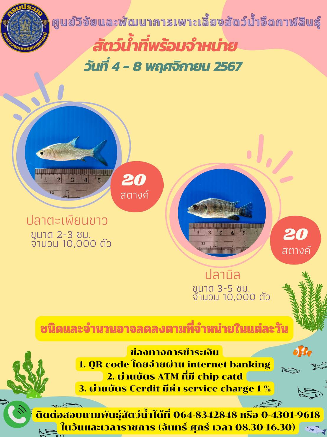 พันธุ์สัตว์น้ำที่พร้อมจำหน่ายประจำสัปดาห์..คลิก