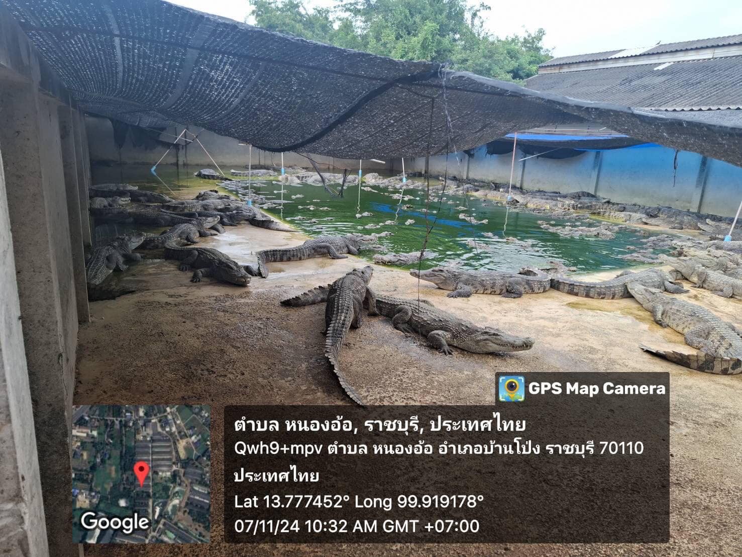 ลงพื้นที่ตรวจติดตามและประเมินฟาร์มจระเข้ ประจำปี 2567 ตามพระราชบัญญัติสงวนและคุ้มครองสัตว์ป่า พ.ศ.2562
