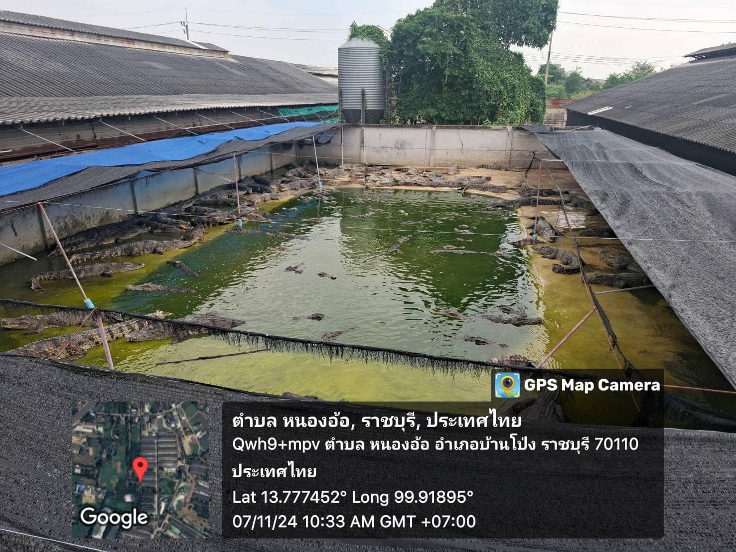 ลงพื้นที่ตรวจติดตามและประเมินฟาร์มจระเข้ ประจำปี 2567 ตามพระราชบัญญัติสงวนและคุ้มครองสัตว์ป่า พ.ศ.2562