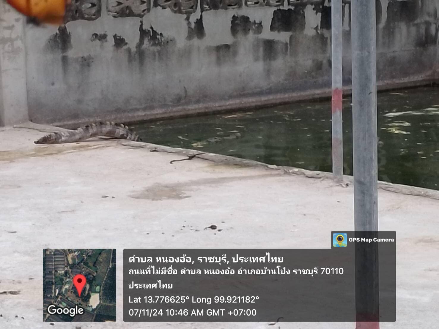 ลงพื้นที่ตำบลหนองอ้อ เพื่อตรวจติดตามและประเมินฟาร์มจระเข้ ประจำปี 2567..คลิก
