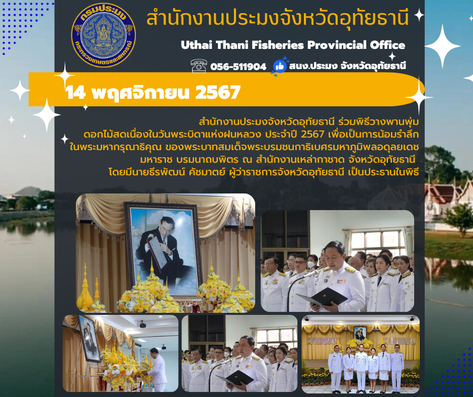 ประชาสัมพันธ์ ประจำเดือนพฤศจิกายน 2567..คลิก