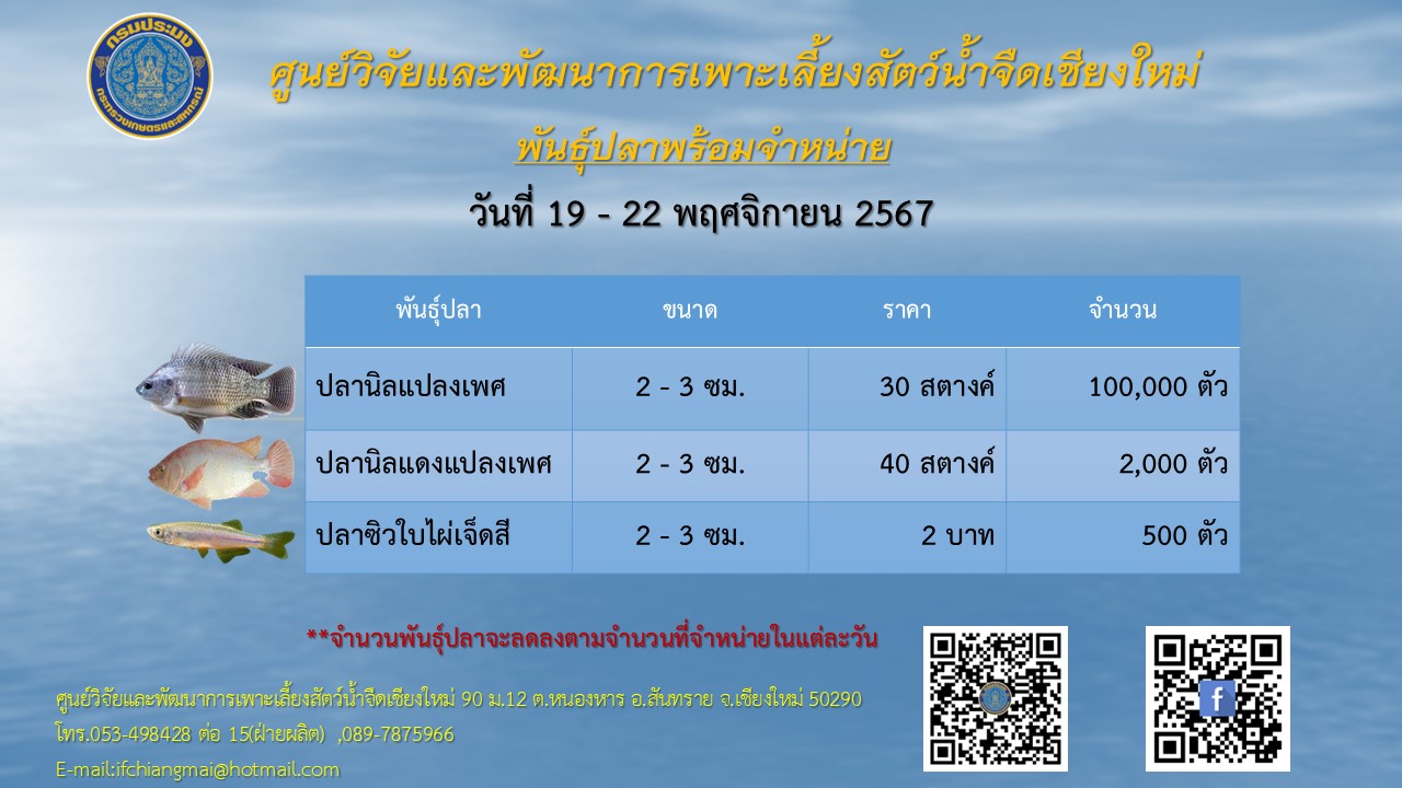พันธุ์ปลาพร้อมจำหน่าย วันที่ 19-22 พฤศจิกายน 2567