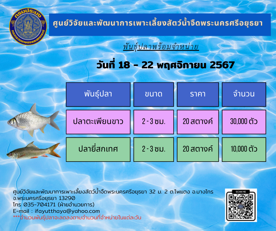 ชนิดพันธุ์สัตว์น้ำพร้อมจำหน่าย 18-22 พฤศจิกายน 2567 ศพจ.พระนครศรีอยุธยา