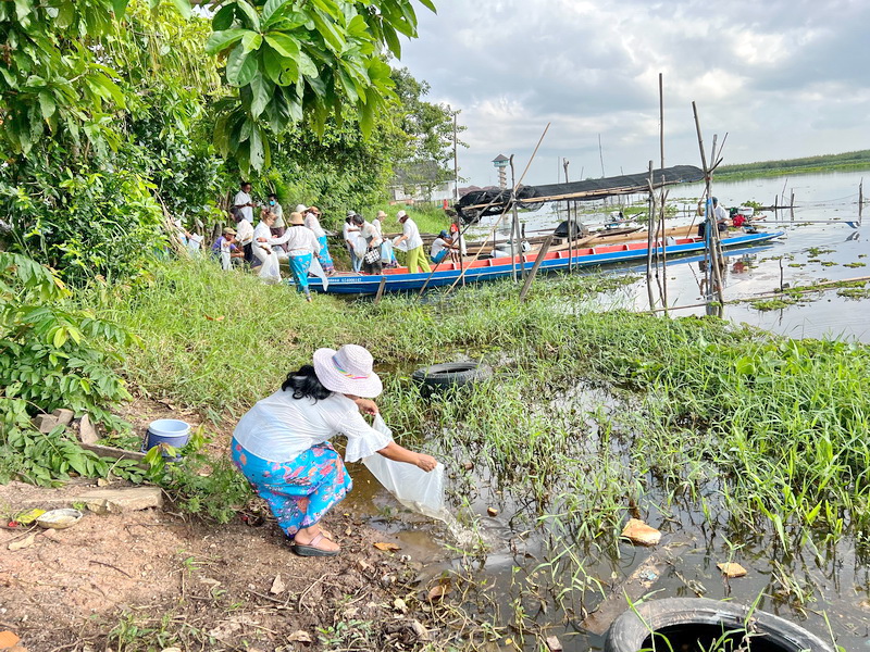 สนับสนุนพันธุ์ปลากินพืช เพื่อปล่อยลงสู่ทะเลน้อย อ.ควนขนุน จ.พัทลุง..คลิก