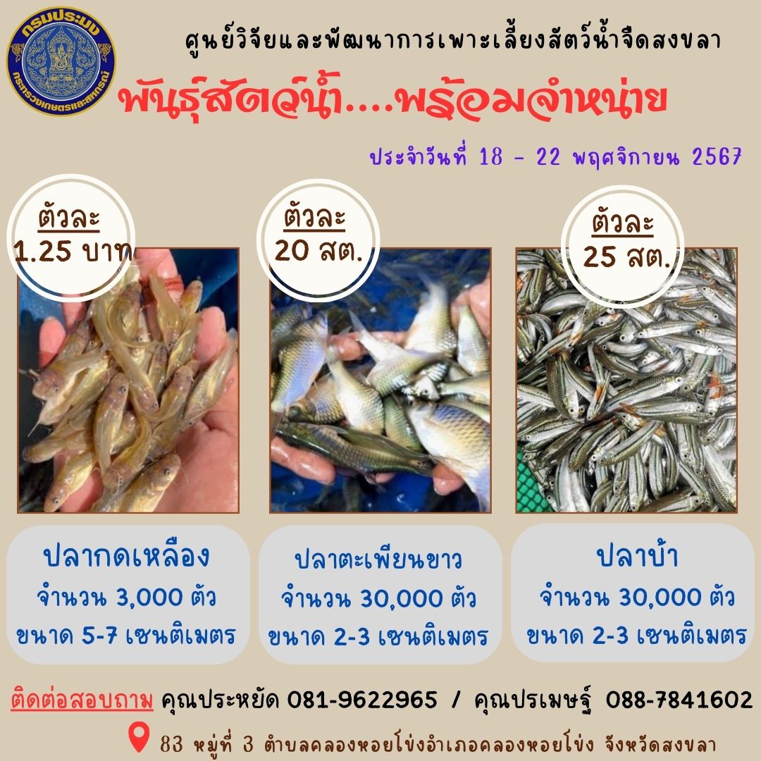 พันธุ์สัตว์น้ำพร้อมจำหน่าย