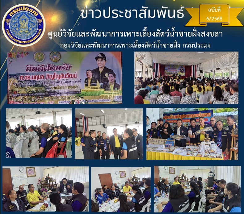 เมื่อวันที่ 15 พฤศจิกายน 2567 นางสาวปริศนา คลิ้งสุขคล้าย ผู้อำนวยการศูนย์วิจัยและพัฒนาการเพาะเลี้ยงสัตว์น้ำชายฝั่งสงขลาพร้อมด้วยนางศรีประภา สิทธิโชคธนา นักวิชาการประมงปฏิบัติการ และเจ้าหน้าที่ศูนย์ฯ เข้าร่วมให้การต้อนรับ ศ.ดร.นฤมล  ภิญโญสินวัฒน์  รัฐมนตรีว่าการกระทรวงเกษตรและสหกรณ์ นายอิทธิ  ศิริลัทธยากร  และนายอัครา  พรหมเผ่า  รัฐมนตรีช่วยว่าการกระทรวงเกษตรและสหกรณ์และคณะ รับฟังนโยบายการดำเนินงาน ณ หอประชุมรัตนโกสินทร์ (ศาลาประชาคมอำเภอสทิงพระ)..คลิก