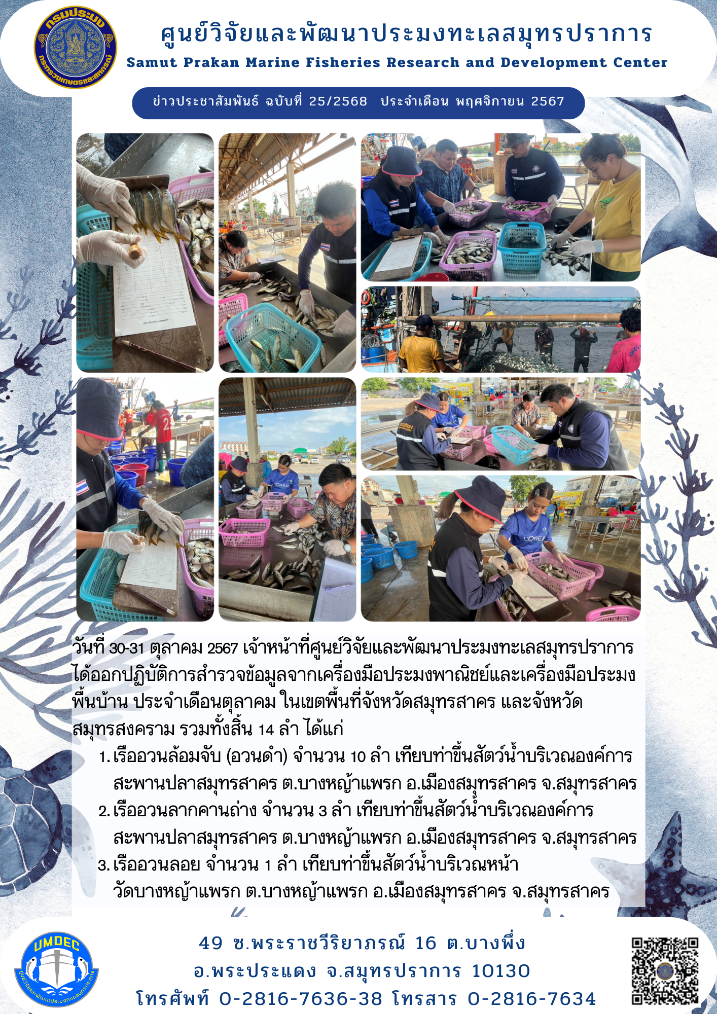 วันที่ 30-31 ตุลาคม 2567เจ้าหน้าที่ศูนย์วิจัยและพัฒนาประมงทะเลสมุทรปราการได้ออกปฏิบัติการสำรวจข้อมูลจากเครื่องมือประมงพาณิชย์และเครื่องมือประมง พื้นบ้าน ประจำเดือนตุลาคม ในเขตพื้นที่จังหวัดสมุทรสาคร และจังหวัดสมุทรสงคราม รวมทั้งสิ้น 14 ลำ ได้แก่ ฯลฯ