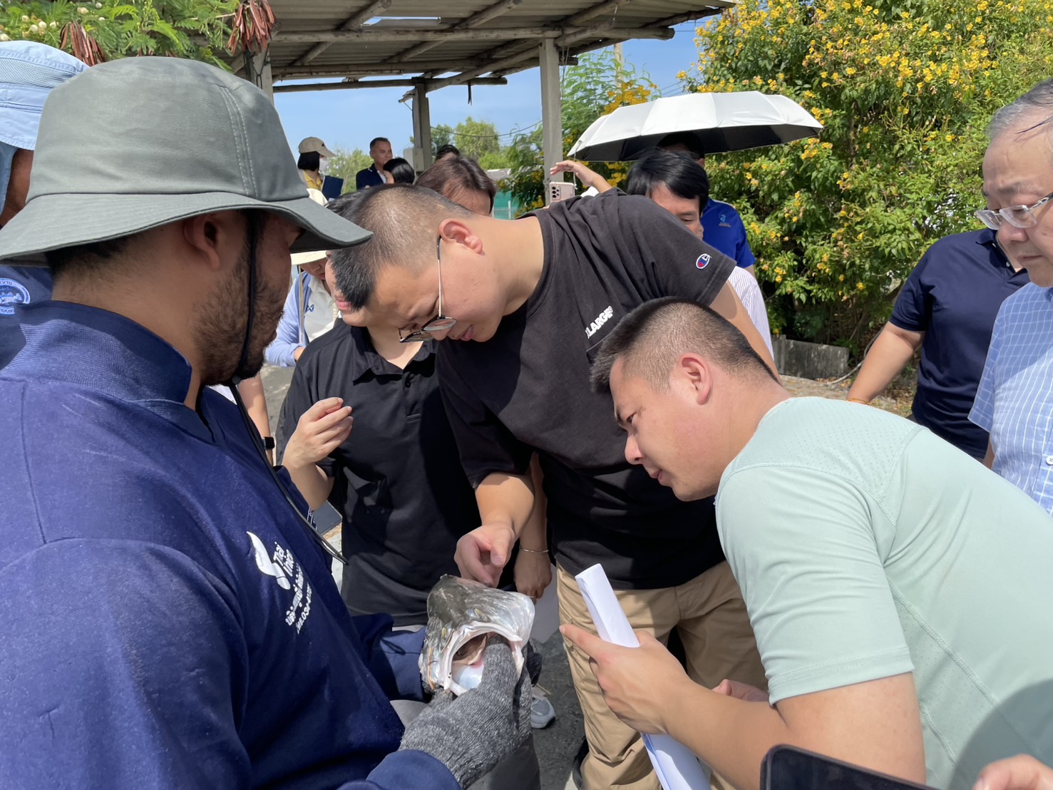 วันพุธที่ 20 พฤศจิกายน 2567 ร่วมรับรองคณะผู้ตรวจประเมินจากสำนักงานศุลกากรแห่งสาธารณรัฐประชาชนจีน (GACC) เพื่อดำเนินการตรวจประเมินระบบการบริหารจัดการความปลอดภัยสินค้าประมงด้านการบริหารจัดการฟาร์มเพาะเลี้ยงสัตว์น้ำขอบข่ายปลากะพงขาว
