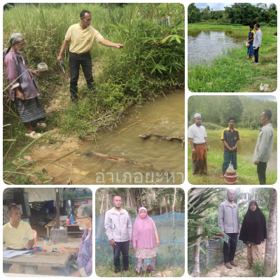 ผลการปฏิบัติงานประจำวันพุธที่ 20 พฤศจิกายน 2567..คลิก