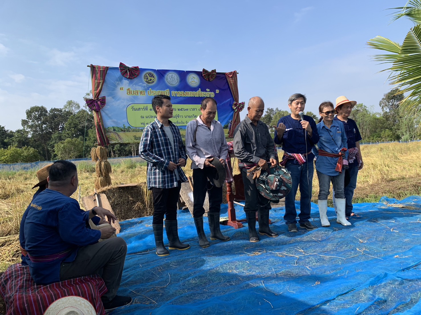 ประมงอำเภอเขื่องใน ร่วมกิจกรรมสืบสานประเพนีลงแขกเกี่ยวข้าว และวัดผลผลิตข้าว ปี 2567..คลิก