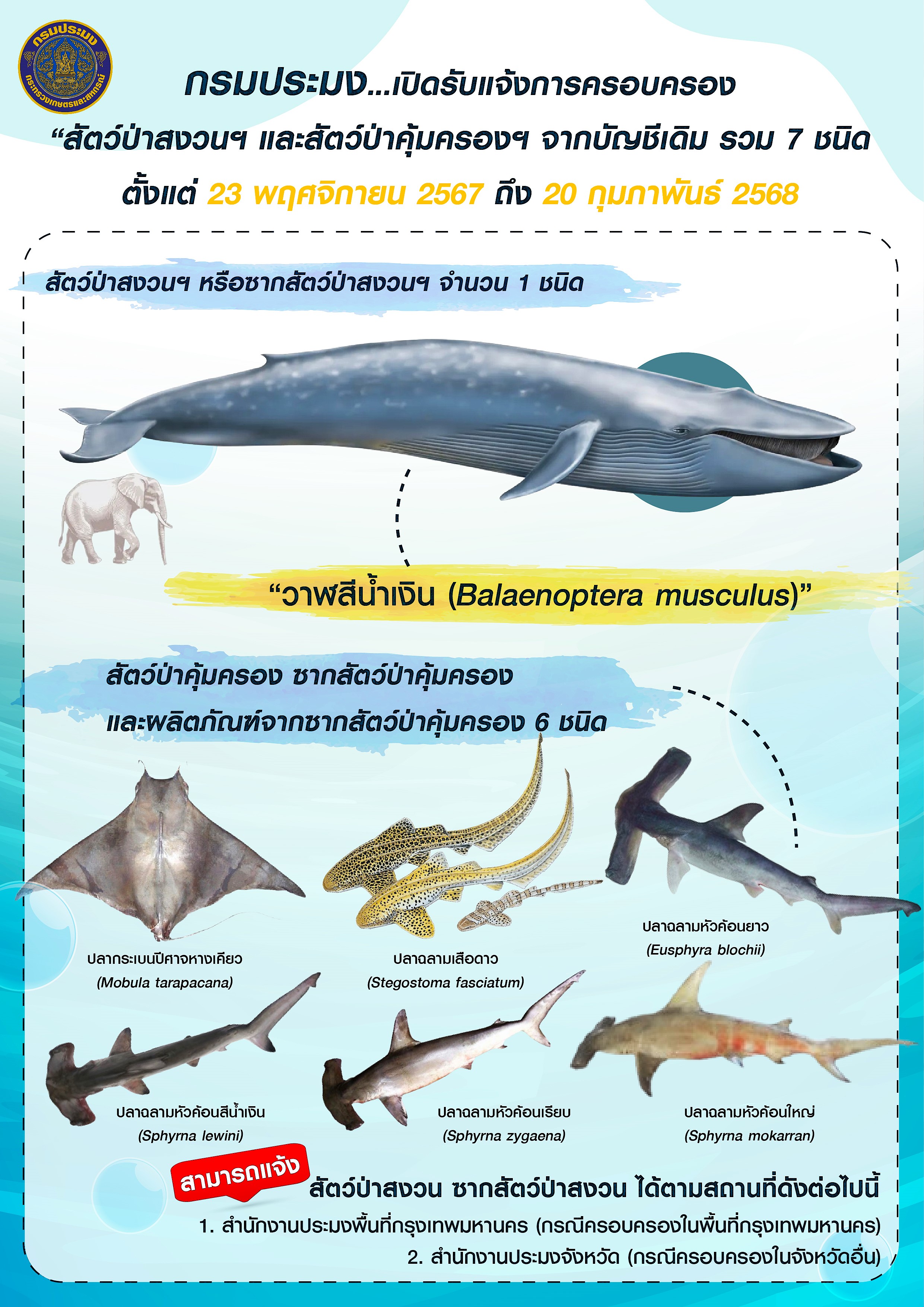 กรมประมง เปิดรับแจ้งการครอบครองสัตว์ป่าสงวนฯ และสัตว์ป่าคุ้มครองฯ..คลิก