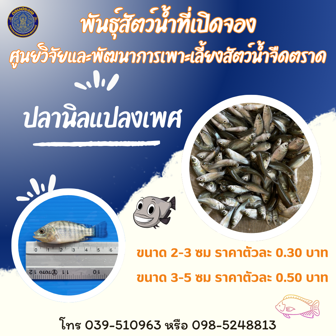 พันธุ์สัตว์น้ำที่เปิดจอง ประจำเดือน พฤศจิกายน - ธันวาคม 2567..คลิก
