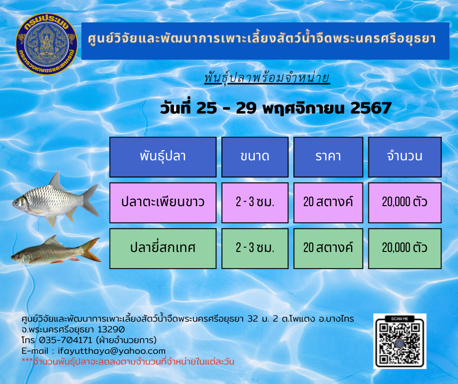 ชนิดพันธุ์สัตว์น้ำพร้อมจำหน่าย 25-29 พฤศจิกายน 2567 ศพจ.พระนครศรีอยุธยา..คลิก