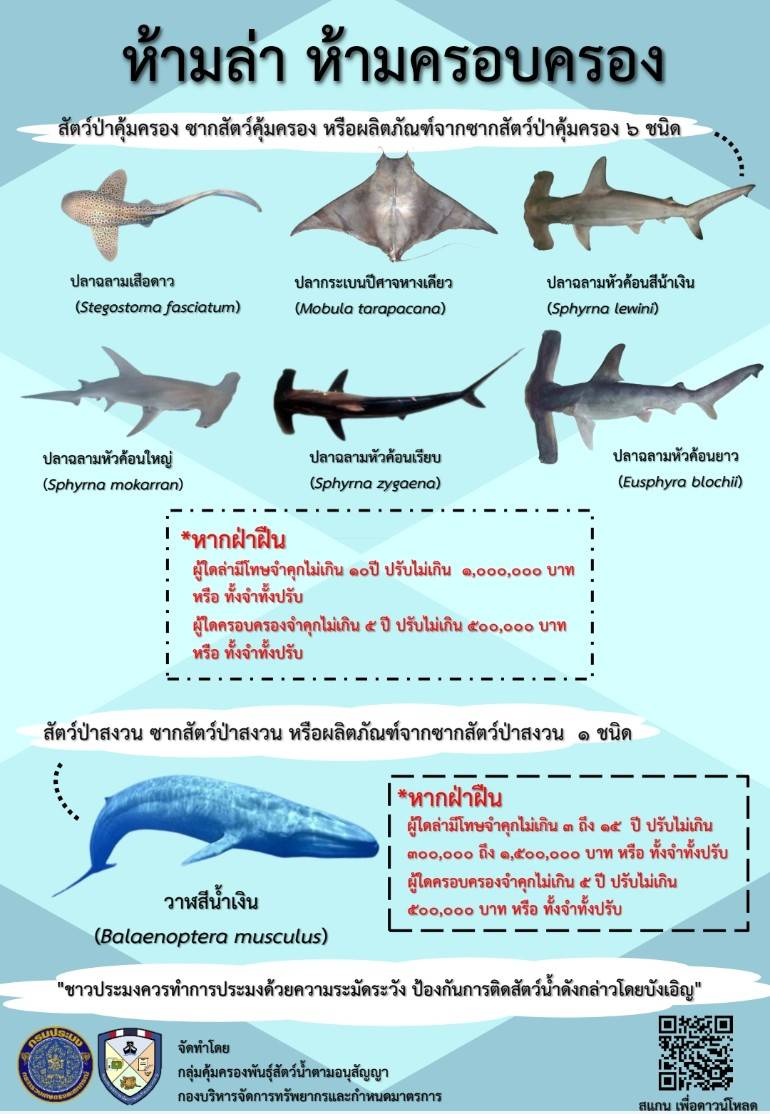 สัตว์ป่าสงวน สัตว์ป่าคุ้มครองใหม่ ห้ามจับ ห้ามครอบครอง