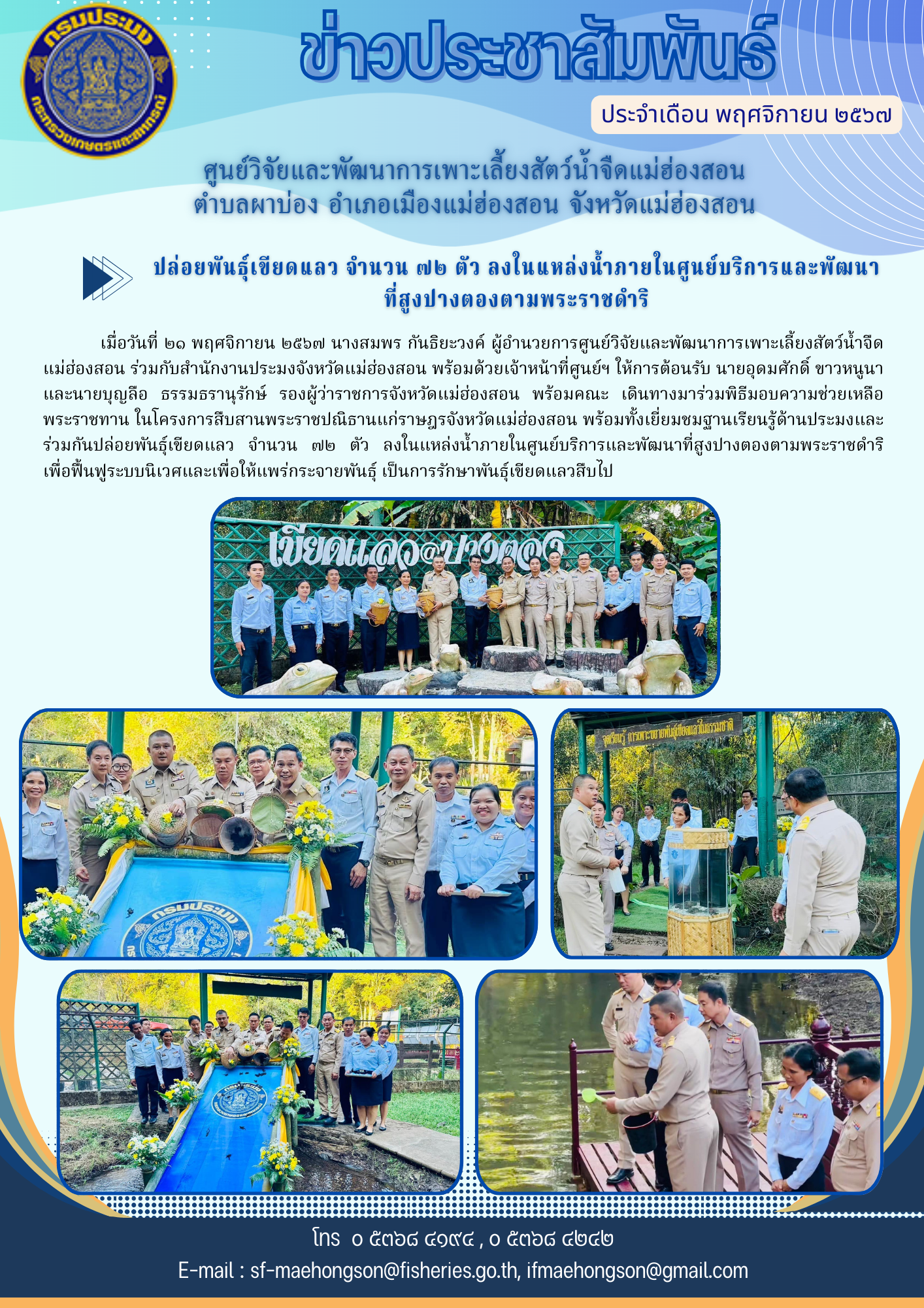 ปล่อยพันธุ์เขียดแลว จำนวน ๗๒ ตัว ลงในแหล่งน้ำภายในศูนย์บริการและพัฒนา ที่สูงปางตองตามพระราชดำริ