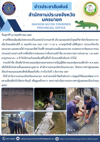 ตามที่มีพลเมืองดีแจ้งพบจระเข้ในแหล่งน้ำธรรมชาติ..คลิก