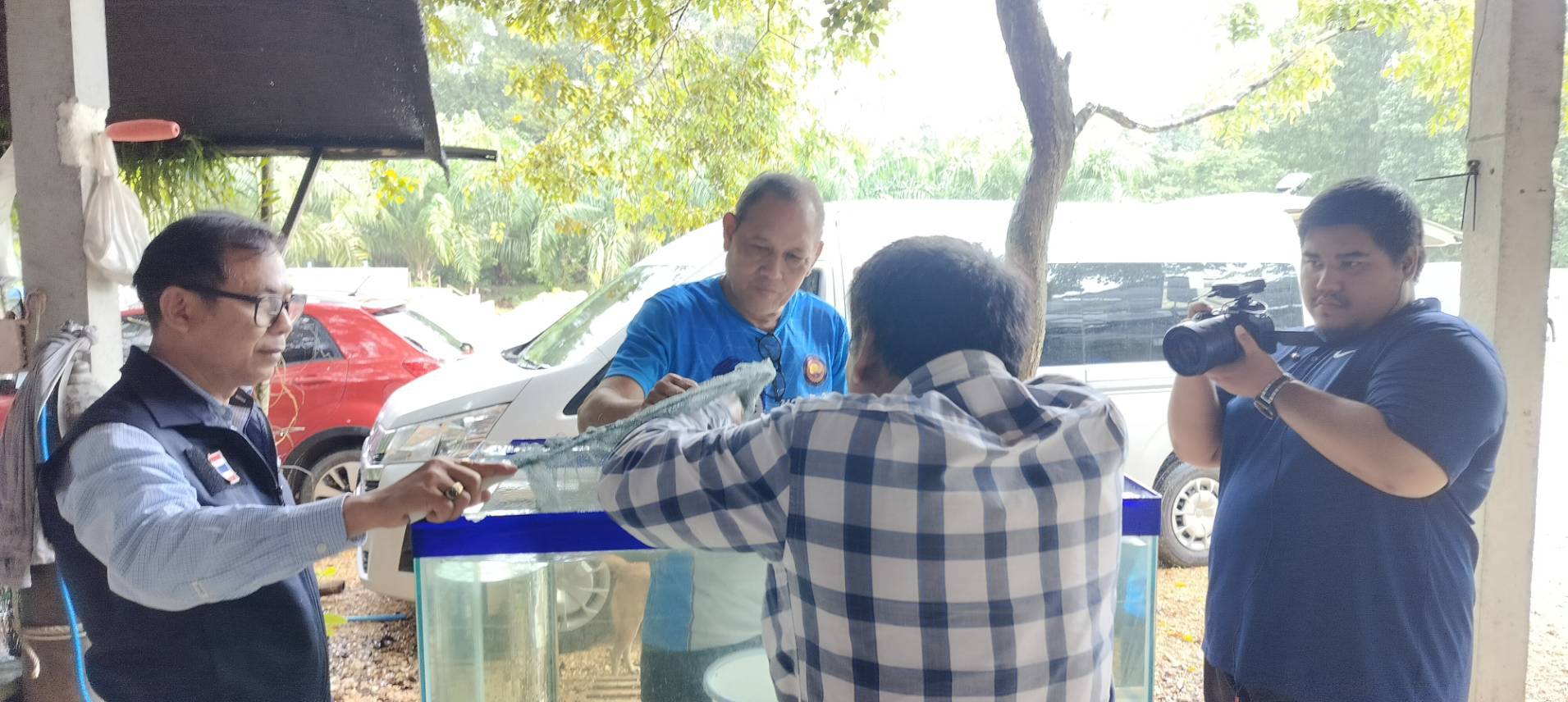ประมงจังหวัดพัทลุง พร้อมด้วย ประมงอำเภอป่าบอน    และนายจตุรวิทย์ คนจีน เกษตรกรผู้เพาะเลี้ยงปลาชโอน  และปลาพื้นถิ่นที่สำคัญของจังหวัดพัทลุง  ร่วมบันทึกเทปรายการ เกษตรทำกิน  โดย NBT south 11..คลิก