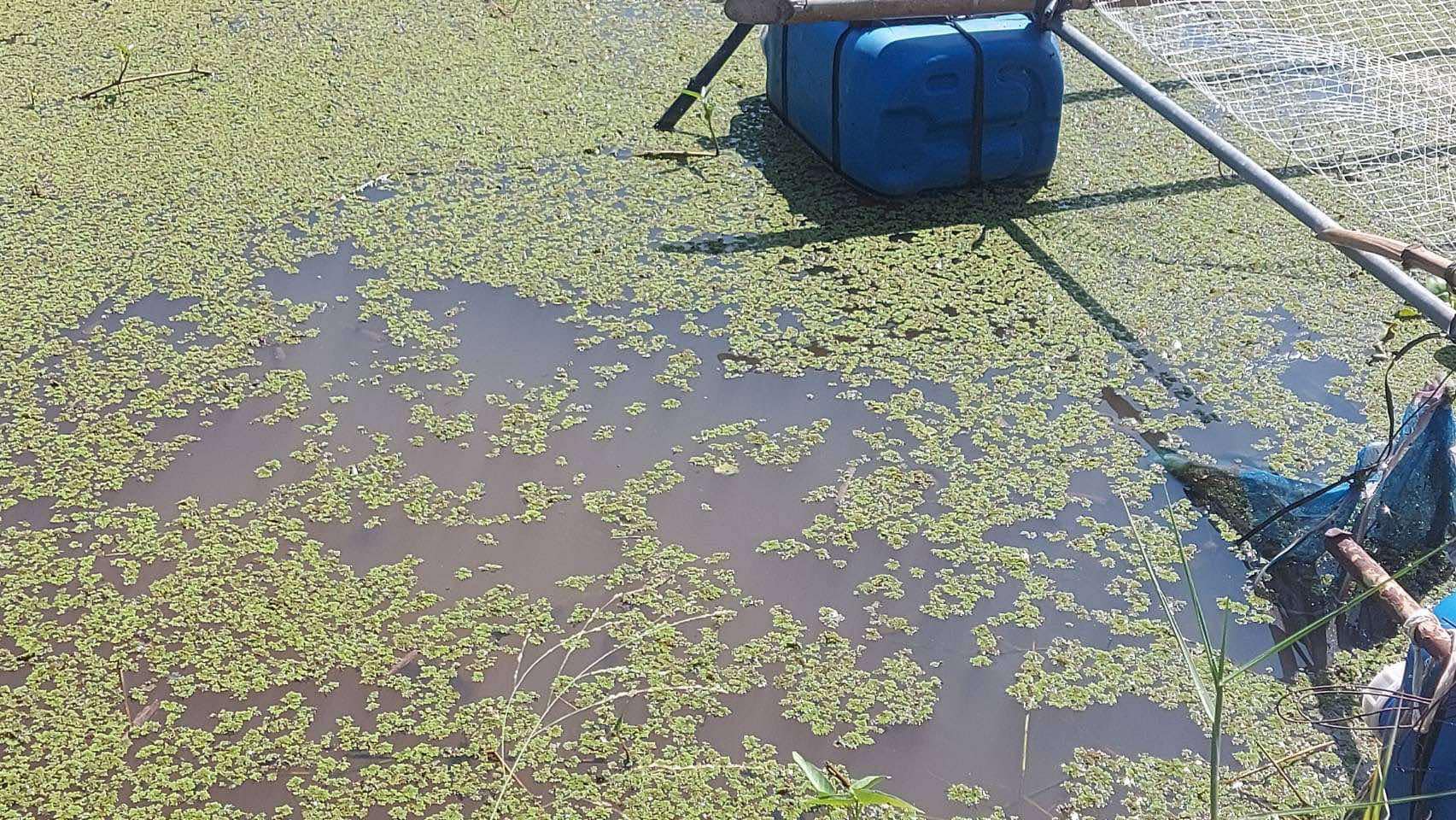 ติดตามให้คำแนะนำเกษตรกรที่ดำเนินกิจกรรมถ่ายทอดเทคโนโลยีการผลิต Fish silage จากเศษเหลือ..คลิก