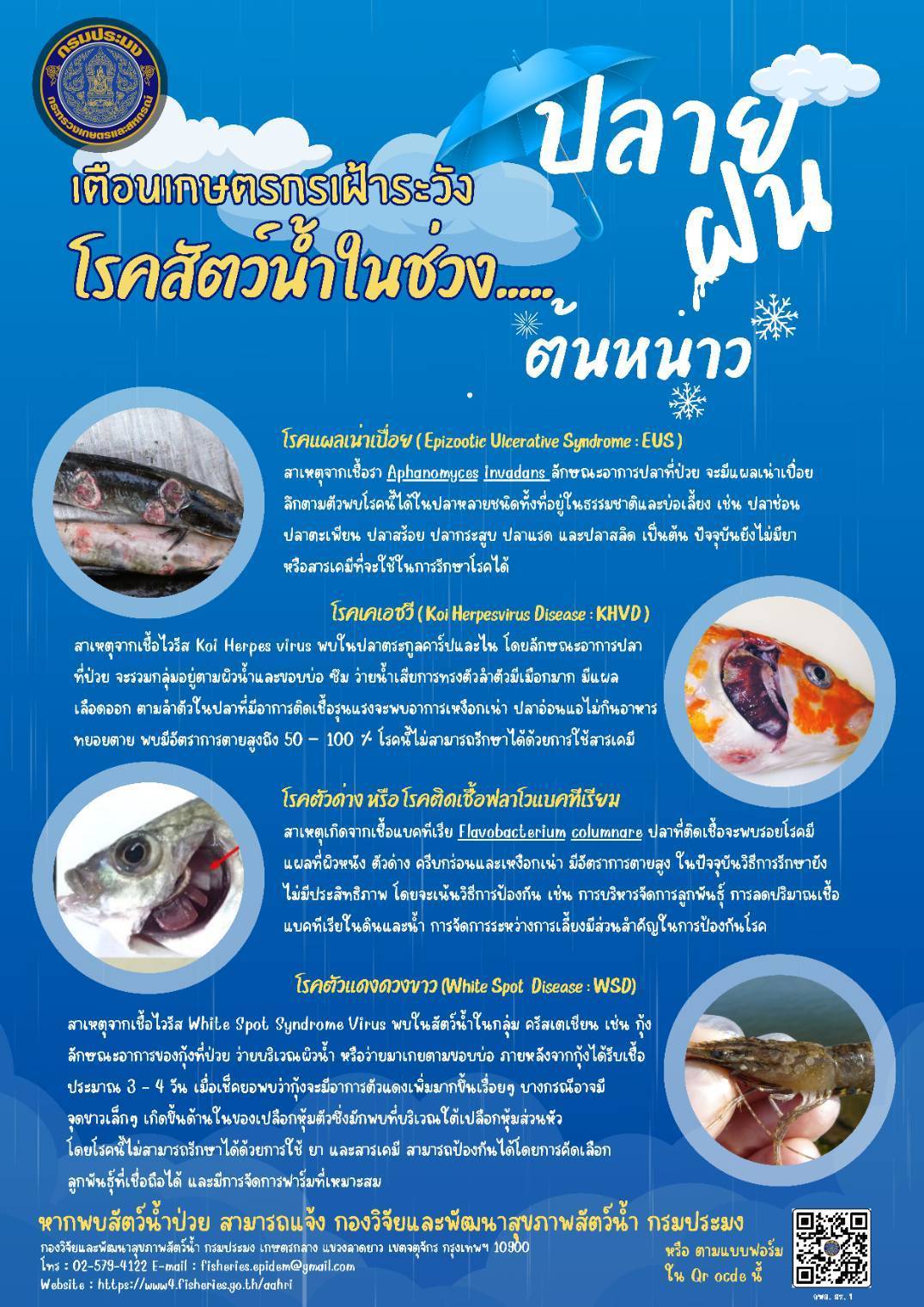 ประชาสัมพันธ์โรคสัตว์น้ำ เตือนเกษตรกรเฝ้าระวังโรคสัตว์น้ำ ปลายฝนต้นหนาว..คลิก