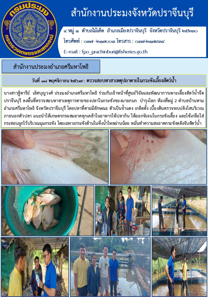ข่าวประชาสัมพันธ์ สำนักงานประมงอำเภอศรีมหาโพธิ ลงพื้นที่ตรวจสอบหาสาเหตุการตายของปลาในกระชัง..คลิก