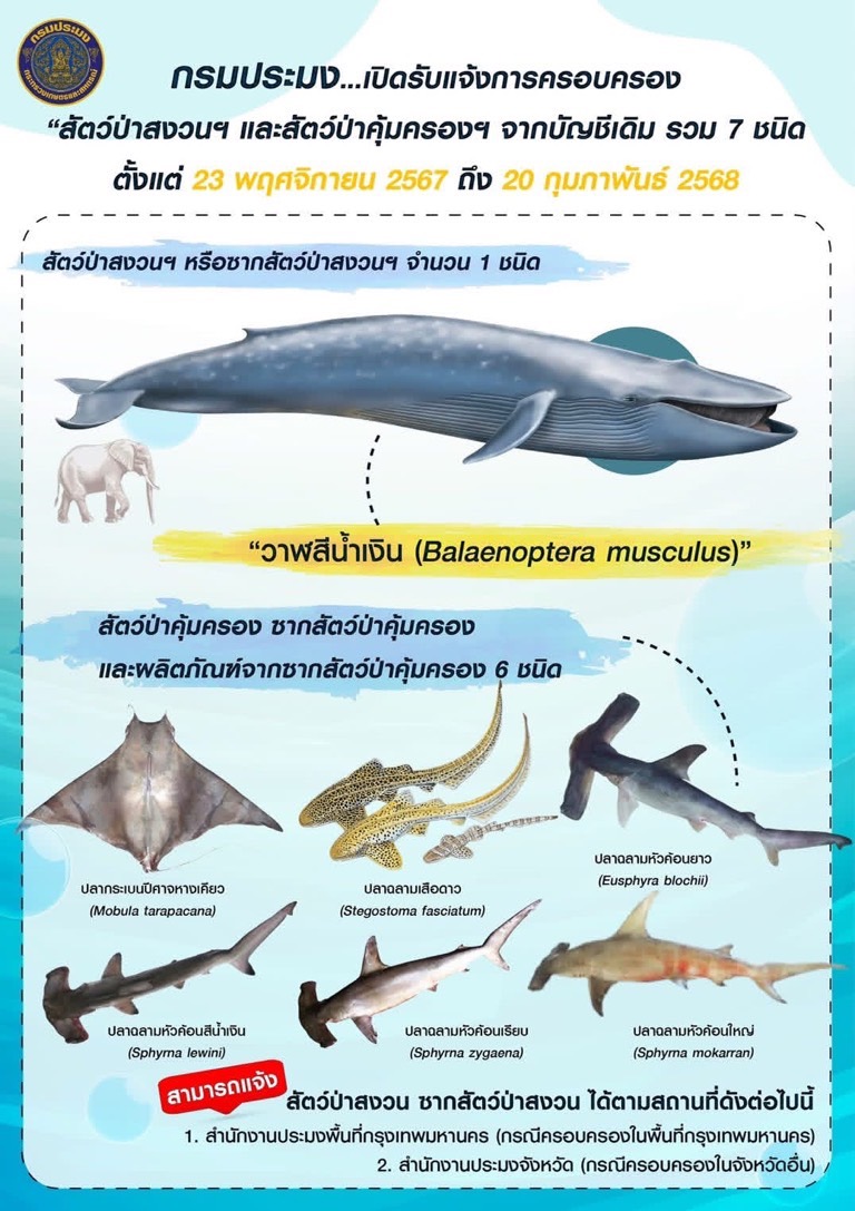 เปิดรับแจ้งการครอบครอง 