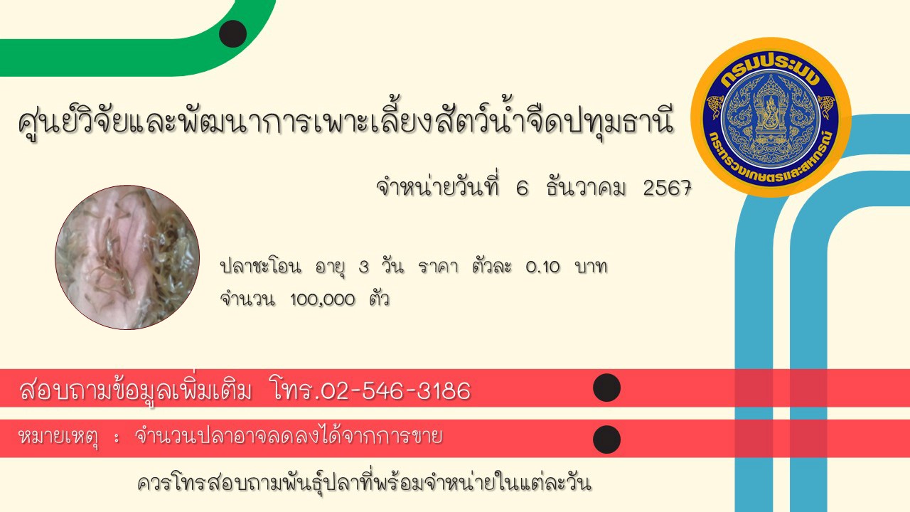 ชนิดพันธุ์สัตว์น้ำพร้อมจำหน่าย วันที่ 6 ธันวาคม 2567..คลิก