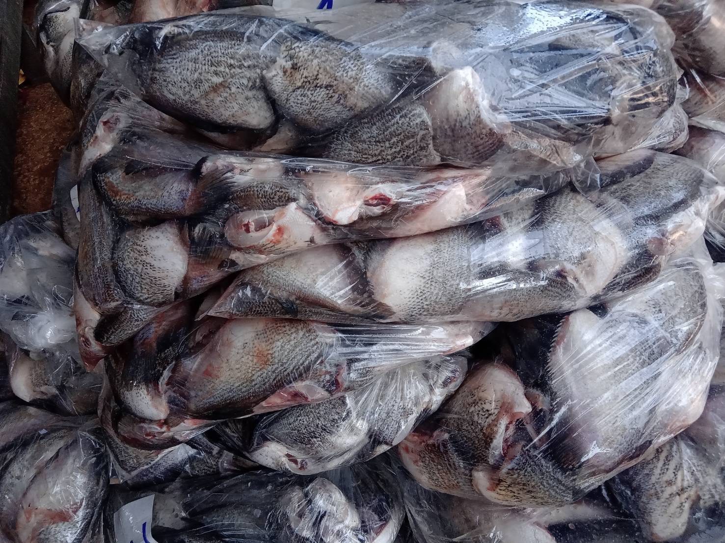ตรวจสินค้าประมงที่นำเข้า ส่งออก ทางจุดผ่านแดนถาวรบ้านคลองลึก