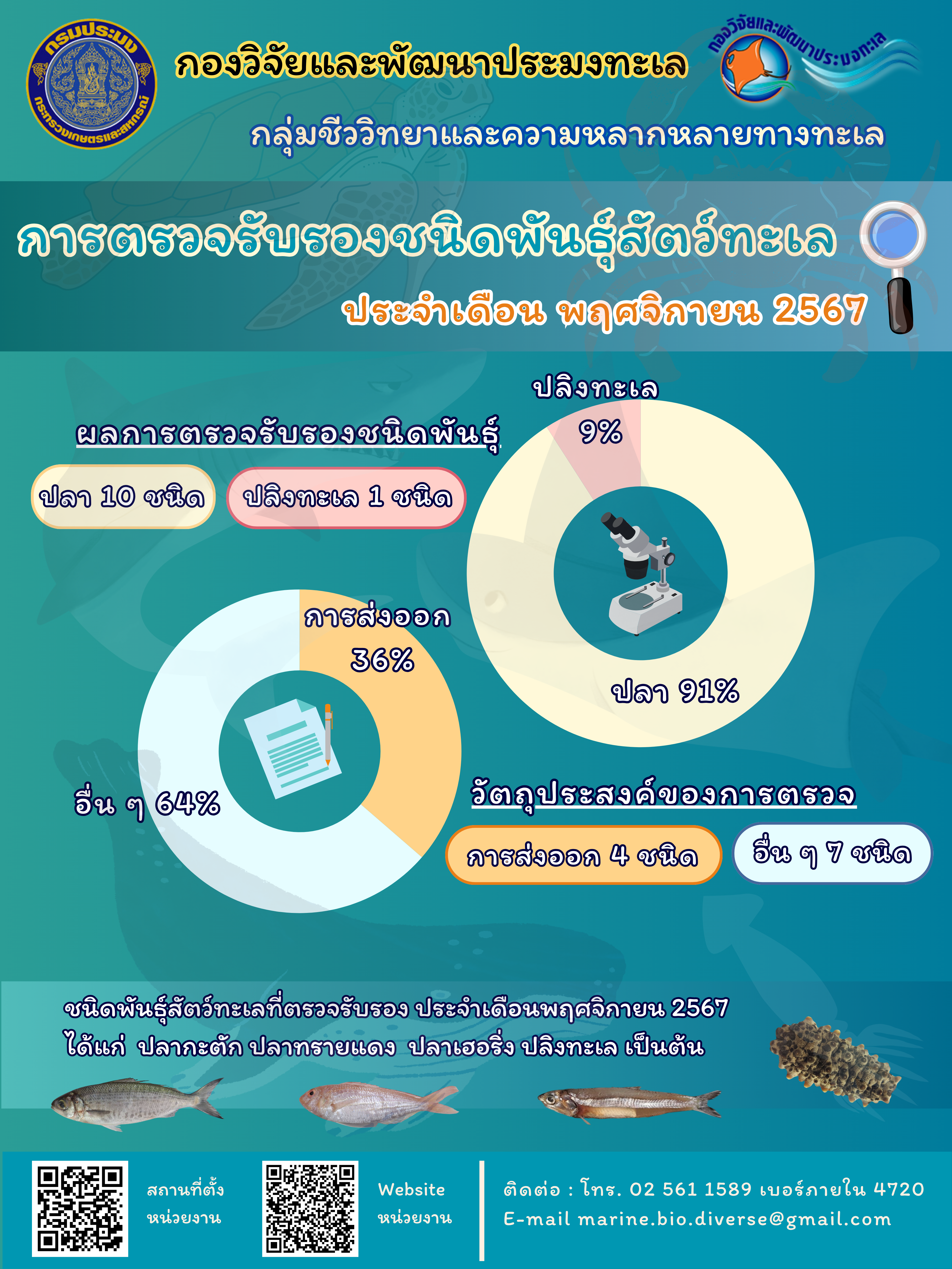 ฐานข้อมูลตรวจรับรองชนิดพันธุ์สัตว์ทะเลปี 2567 เดือนพฤศจิกายน..คลิก
