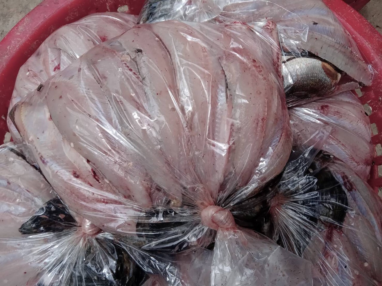 ตรวจสินค้าประมงที่นำเข้า ส่งออก ทางจุดผ่านแดนถาวรบ้านหนองเอี่ยน