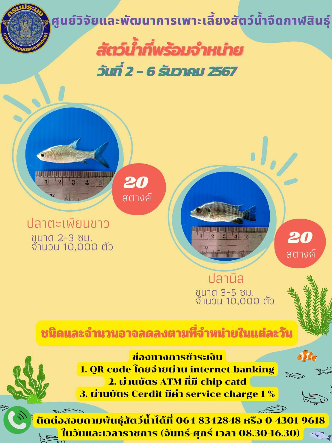 พันธุ์สัตว์น้ำที่พร้อมจำหน่ายประจำสัปดาห์..คลิก