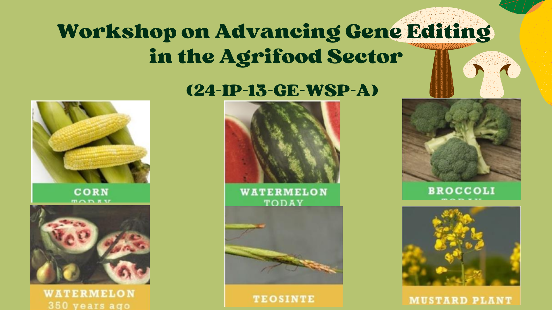 Workshop on Advancing Gene Editing in the Agrifood Sector (24-IP-13-GE-WSP-A)