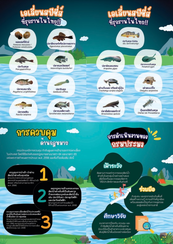 สัตว์น้ำต่างถิ่นและปลาหมอคางดำ..คลิก
