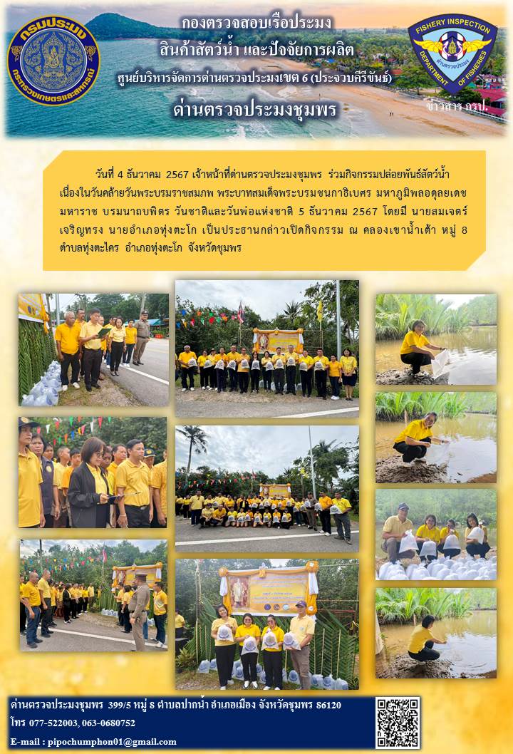 วันที่ 4 ธันวาคม 2567 เจ้าหน้าที่ด่านตรวจประมงชุมพร ร่วมปล่อยพันธ์สัตว์น้ำ เนื่องในวันคล้ายวันพระบรมราชสมภพ พระบาทสมเด็จพระบรมชนกาธิเบศร มหาภูมิพลอดุลยเดชมหาราช บรมนาถบพิตร วันชาติและวันพ่อแห่งชาติ 5 ธันวาคม 2567..คลิก