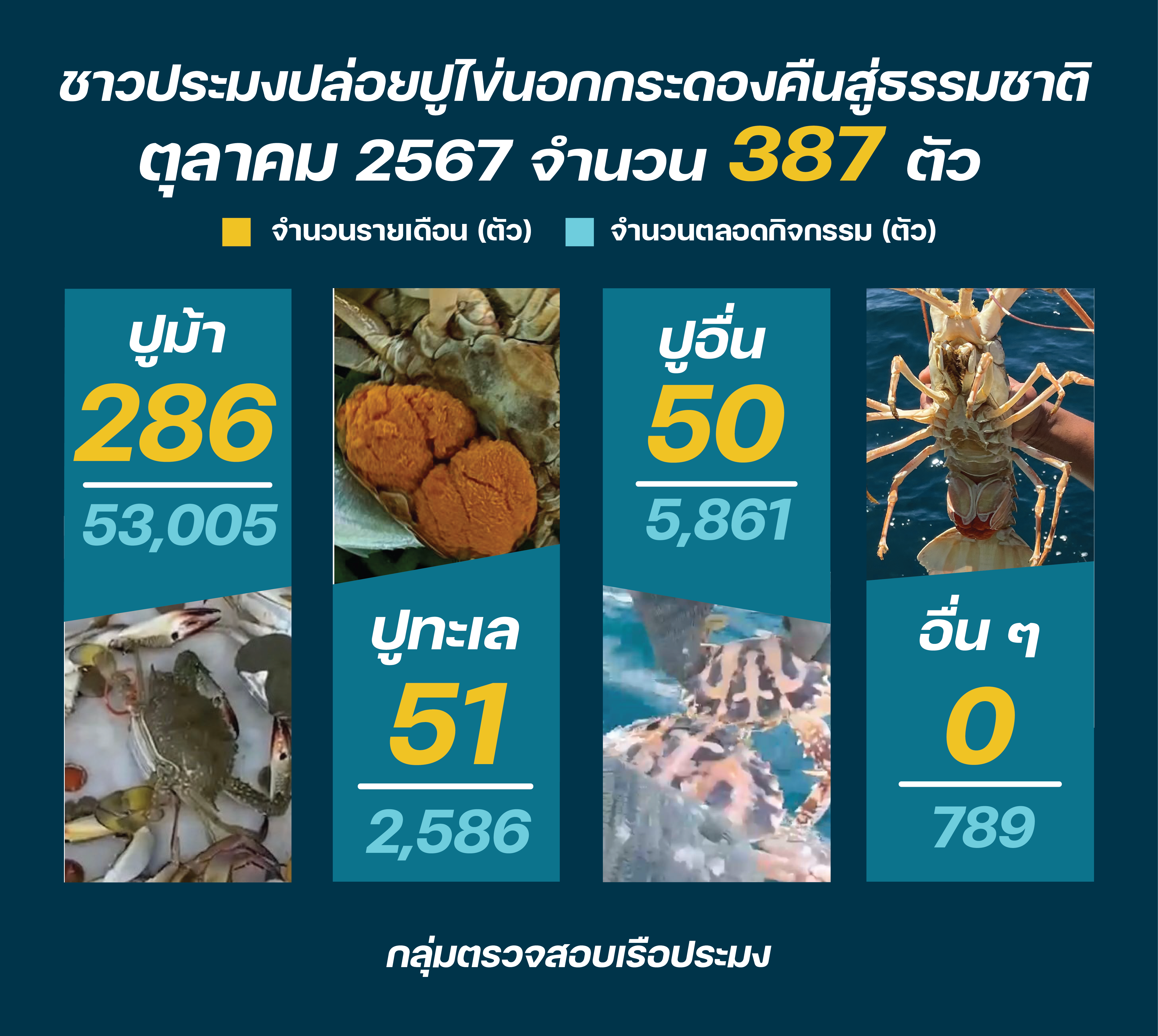 ชาวประมง ปล่อยปูไข่ ตุลาคม 2567..คลิก