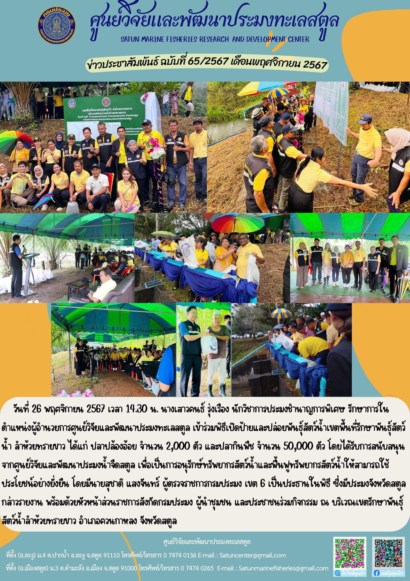 วันที่ 26 พฤศจิกายน 2567 เวลา 14.30 น. นางเสาวคนธ์ รุ่งเรือง นักวิชาการประมงชำนาญการพิเศษ รักษาการในตำแหน่งผู้อำนวยการศูนย์วิจัยและพัฒนาประมงทะเลสตูล เข้าร่วมพิธีเปิดป้ายและปล่อยพันธุ์สัตว์น้ำเขตพื้นที่รักษาพันธุ์สัตว์น้ำ ลำห้วยทรายขาว ได้แก่ ปลาปล้องอ้อย จำนวน 2,000 ตัว และปลากินพืช จำนวน 50,000 ตัว โดยได้รับการสนับสนุนจากศูนย์วิจัยและพัฒนาประมงน้ำจืดสตูล ฯลฯ..คลิก