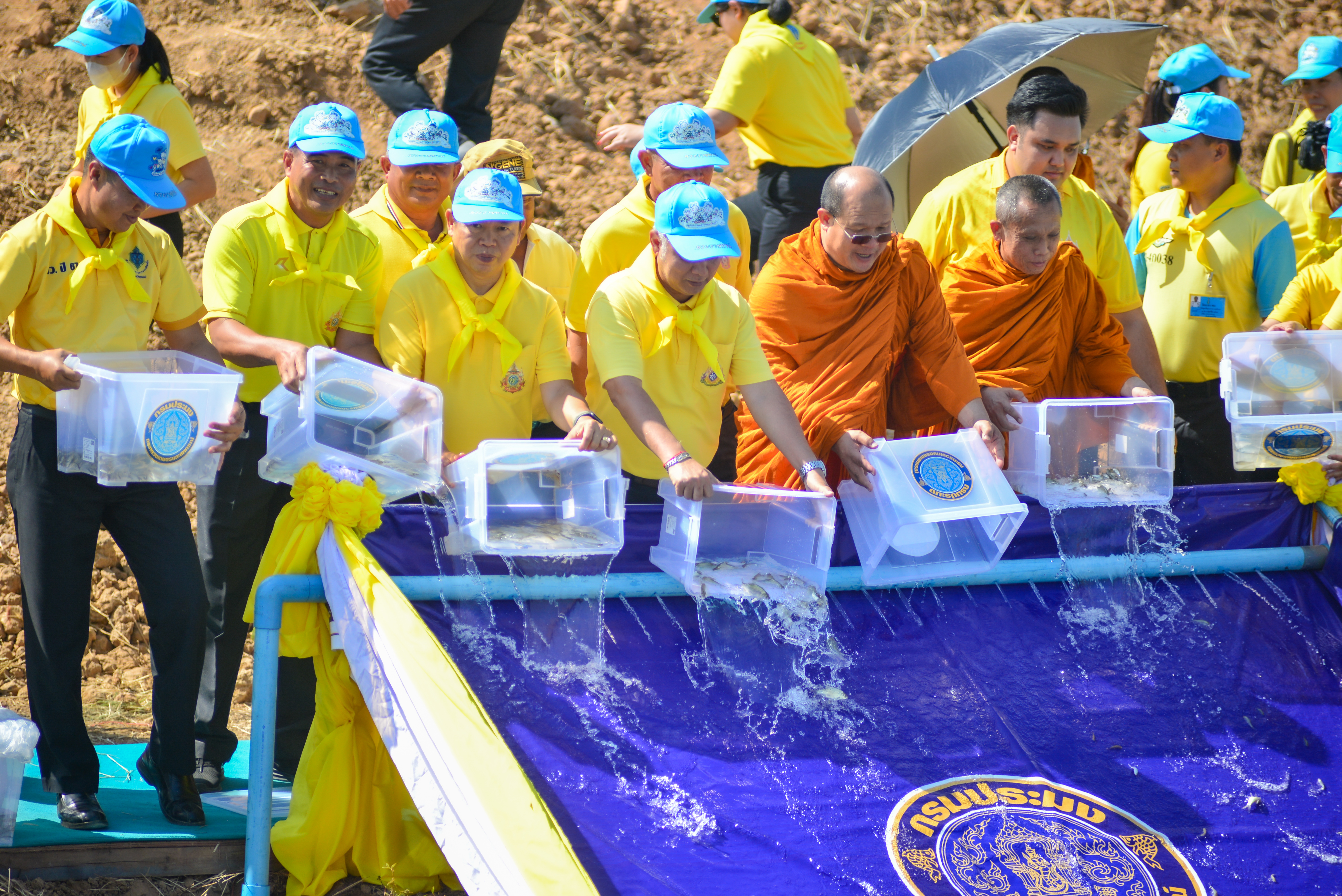 ประมงจังหวัดหนองบัวลำภู ร่วมกิจกรรมจิตอาสาพัฒนาบำเพ็ญสาธารณประโยชน์ เนื่องในวันคล้ายวันพระราชสมภพพระบาทสมเด็จพระบรมชนกาธิเบศร มหาภูมิผลอดุลยเดชมหาราช บรมนาถบพิตร วันชาติ และวันพ่อแห่งชาติ 5 ธันวาคม 2567..คลิก