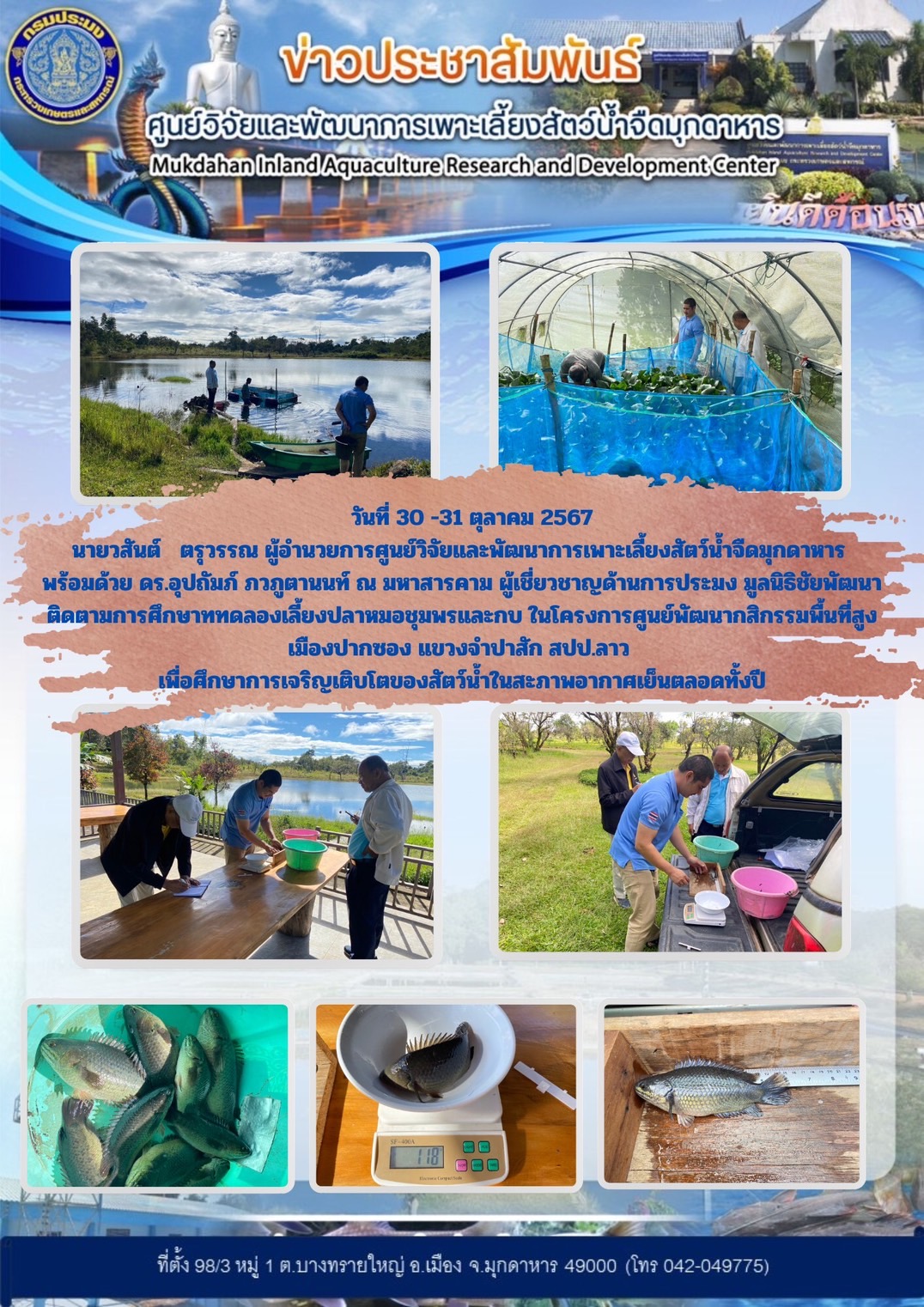วันที่ 30 -31 ตุลาคม 2567 นายวสันต์   ตรุวรรณ ผู้อำนวยการศูนย์วิจัยและพัฒนาการเพาะเลี้ยงสัตว์น้ำจืดมุกดาหาร พร้อมด้วย ดร.อุปถัมภ์ ภวภูตานนท์ ณ มหาสารคาม ผู้เชี่ยวชาญด้านการประมง มูลนิธิชัยพัฒนา ติดตามการศึกษาทำการทดลองเลี้ยงปลาหมอชุมพรและกบ ในโครงการศูนย์พัฒนากสิกรรมพื้นที่สูงเมืองปากซอง แขวงจำปาสัก สปป.ลาว เพื่อศึกษาการเจริญเติบโตของสัตว์น้ำในสะภาพอากาศเย็นตลอดทั้งปี..คลิก