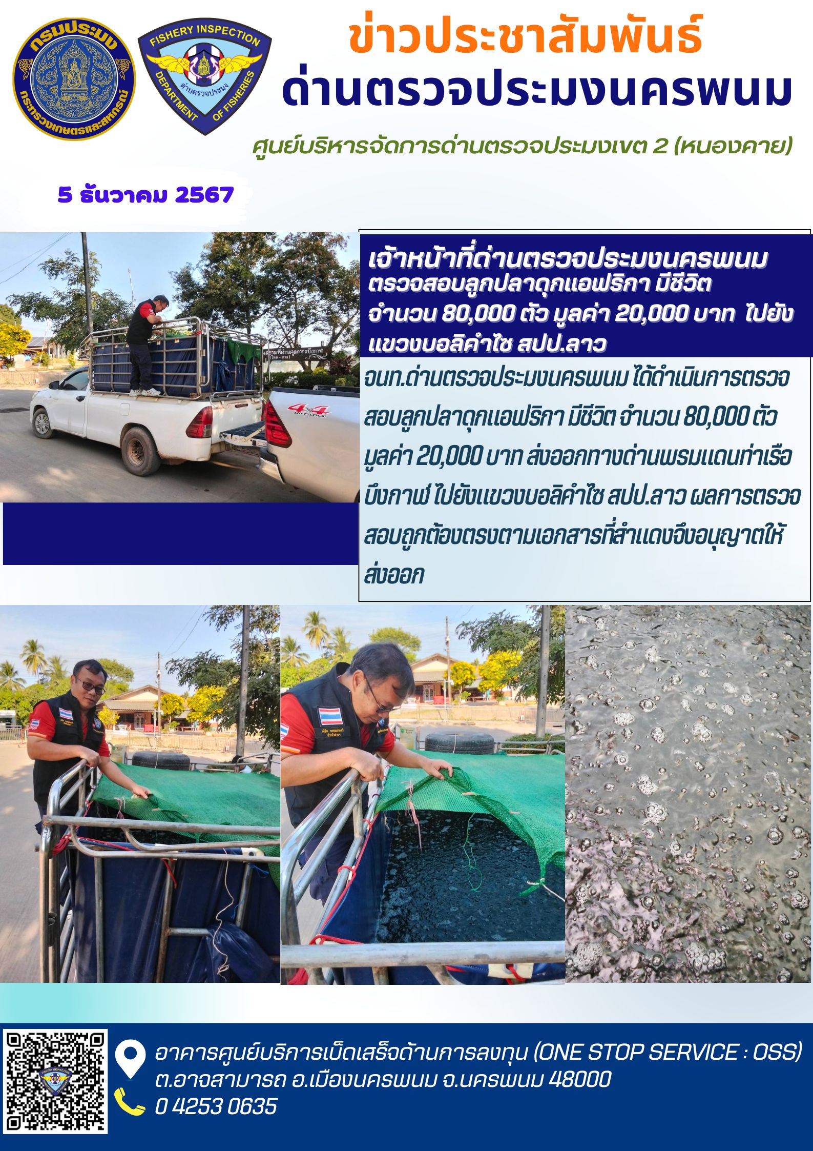 ข่าวกิจกรรมการดำเนินงาน : วันที่ 5 ธันวาคม 2567 จ้าหน้าที่ด่านตรวจประมงนครพนม ตรวจสอบลูกปลาดุกแอฟริกา มีชีวิต จำนวน 80,000 ตัว มูลค่า 20,000 บาท  ไปยัง แขวงบอลิคำไซ สปป.ลาว