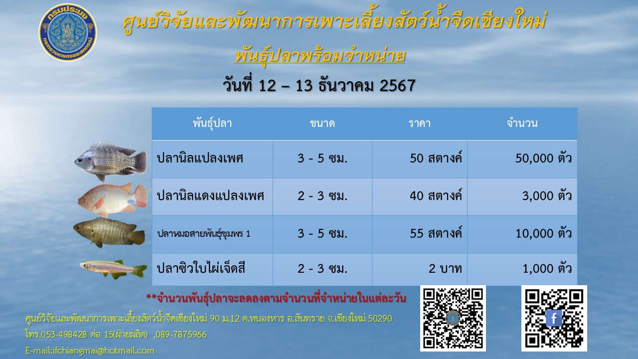 พันธุ์ปลาพร้อมจำหน่าย วันที่ 12-13 ธันวาคม 2567