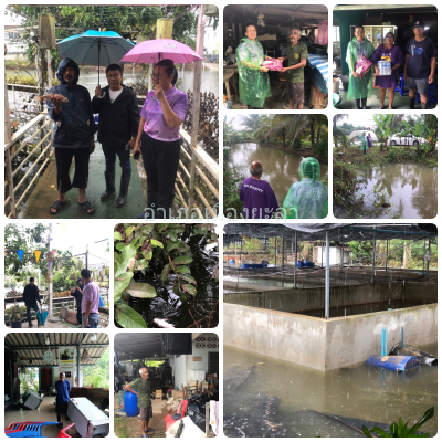 ผลการปฏิบัติงานประจำวันพุธที่ 4 ธันวาคม 2567..คลิก