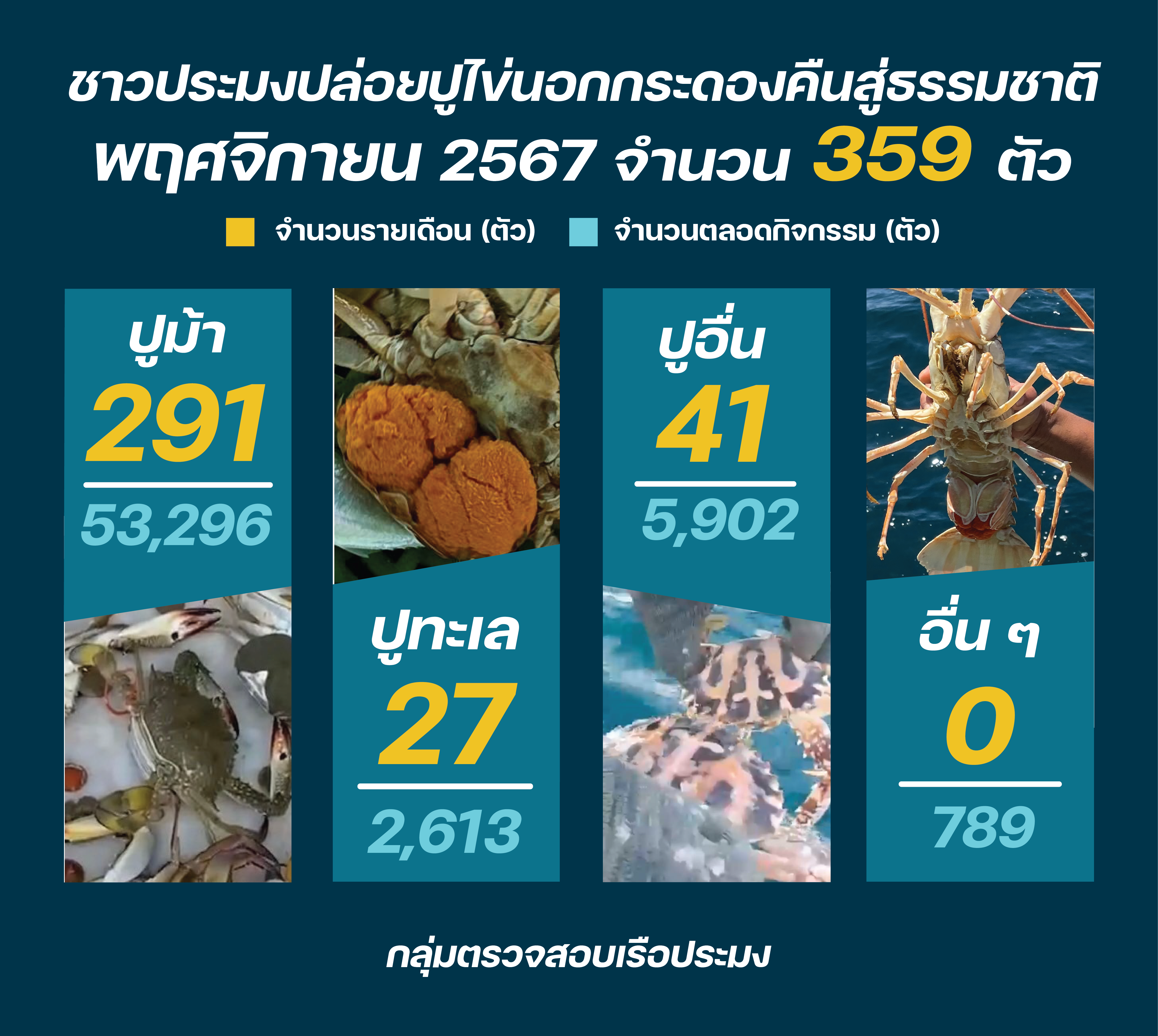 ชาวประมง ปล่อยปูไข่ พฤศจิกายน 2567..คลิก