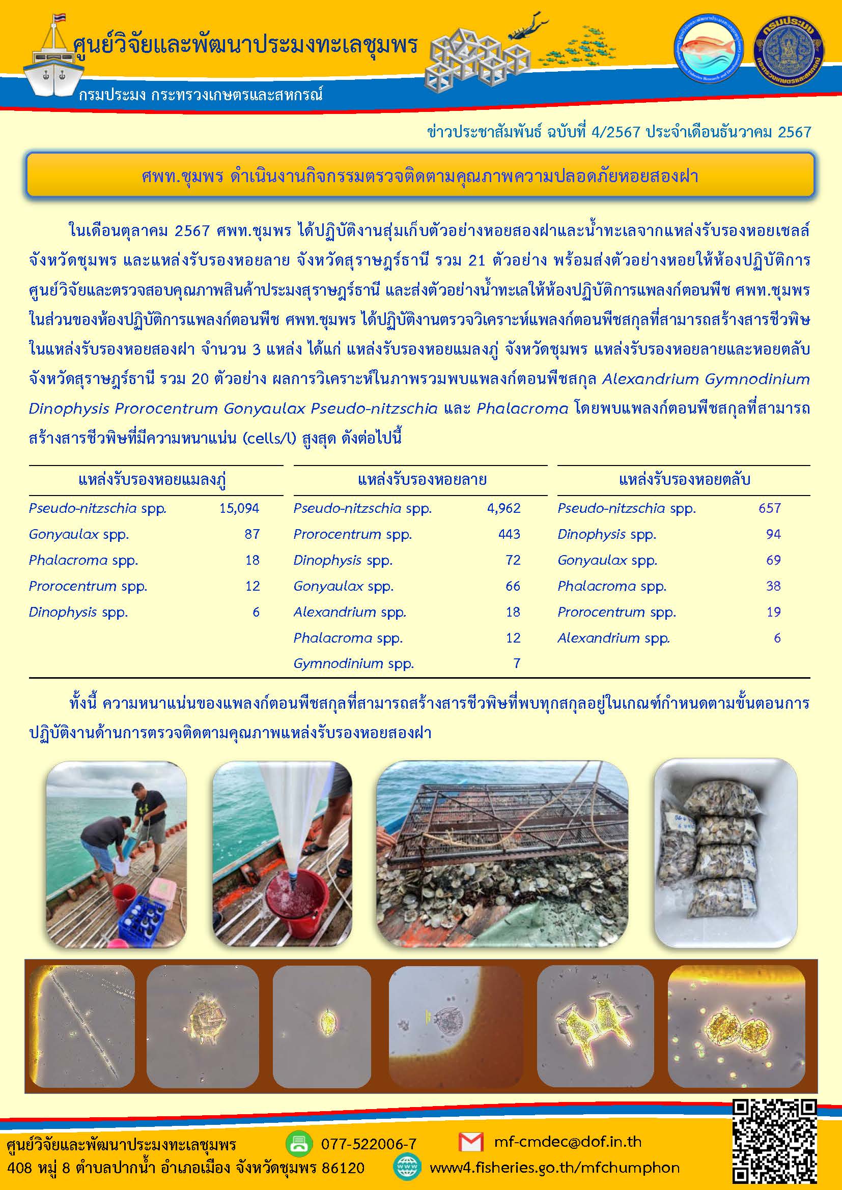 ในเดือนตุลาคม 2567 ศพท.ชุมพร ได้ปฏิบัติงานสุ่มเก็บตัวอย่างหอยสองฝาและน้ำทะเลจากแหล่งรับรองหอยเชลล์จังหวัดชุมพร และแหล่งรับรองหอยลาย จังหวัดสุราษฎร์ธานี รวม 21 ตัวอย่าง พร้อมส่งตัวอย่างหอยให้ห้องปฏิบัติการ ศูนย์วิจัยและตรวจสอบคุณภาพสินค้าประมงสุราษฎร์ธานี และส่งตัวอย่างน้ำทะเลให้ห้องปฏิบัติการแพลงก์ตอนพืช ศพท.ชุมพรในส่วนของห้องปฏิบัติการแพลงก์ตอนพืช ศพท.ชุมพร ฯลฯ..คลิก